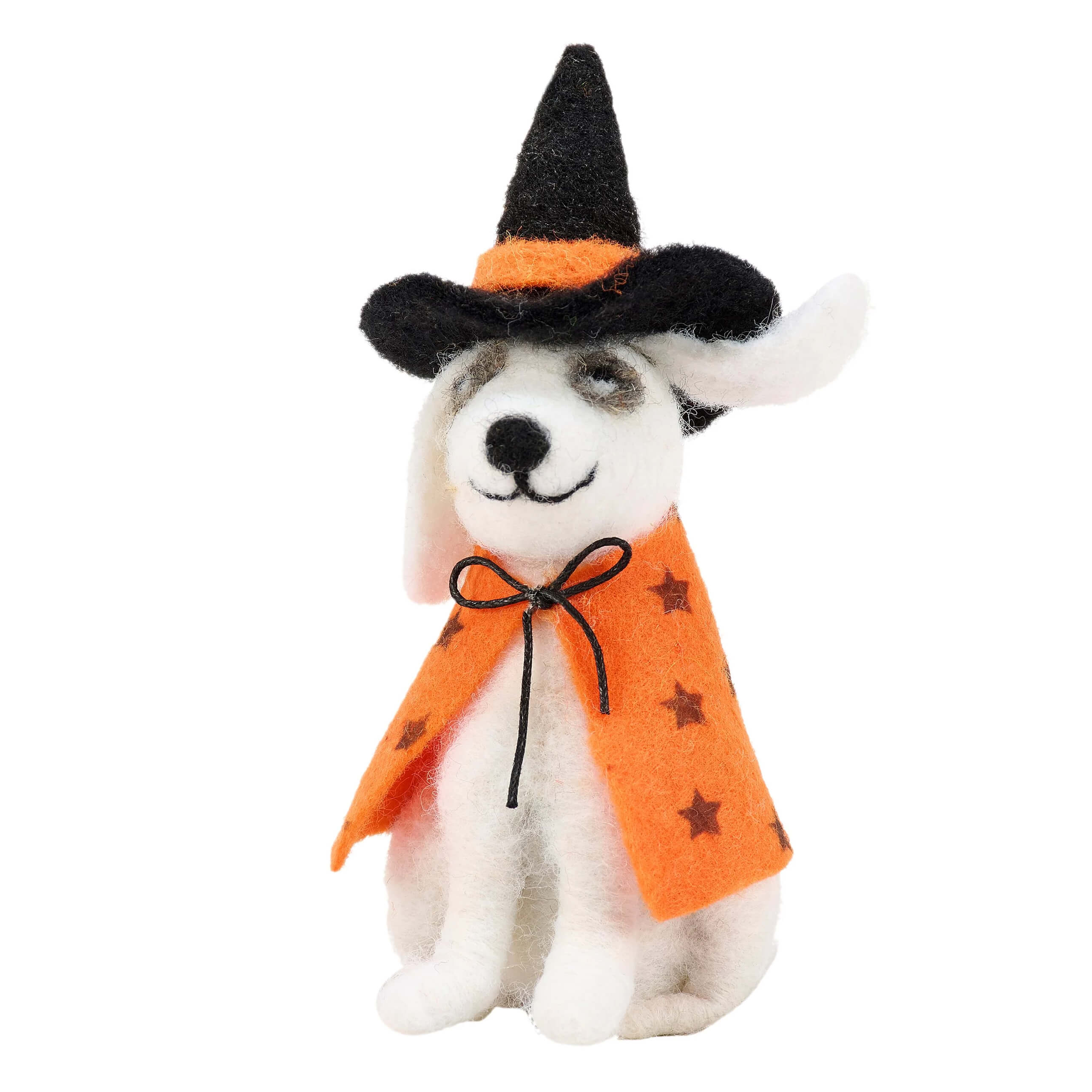 Dog Witch Critter